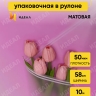 Пленка матовая 50мкм 58см х 10м РЦ прозрачный кант лиловый Пленка матовая 50мкм 58см х 10м РЦ прозрачный кант лиловый