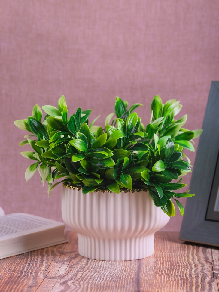 Кашпо керамика 16х16х6,2см W7396011.15 белый