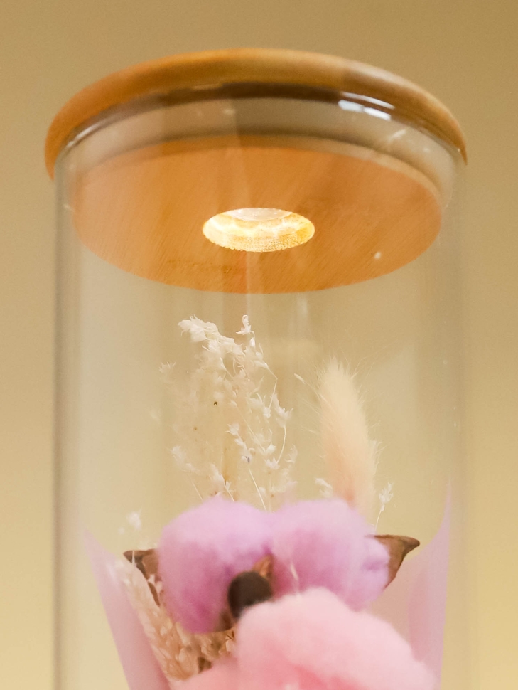 Композиция в колбе 10x25 Букет с хлопком с подсветкой