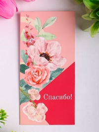 Конверт для денег 8х16,5см, 5шт, 0458