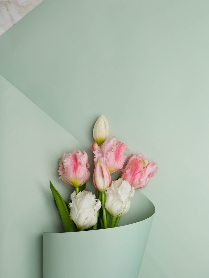 Пленка матовая 50мкм 58см х 10м Флора зеленая дымка Пленка матовая 50мкм 58см х 10м Флора зеленая дымка