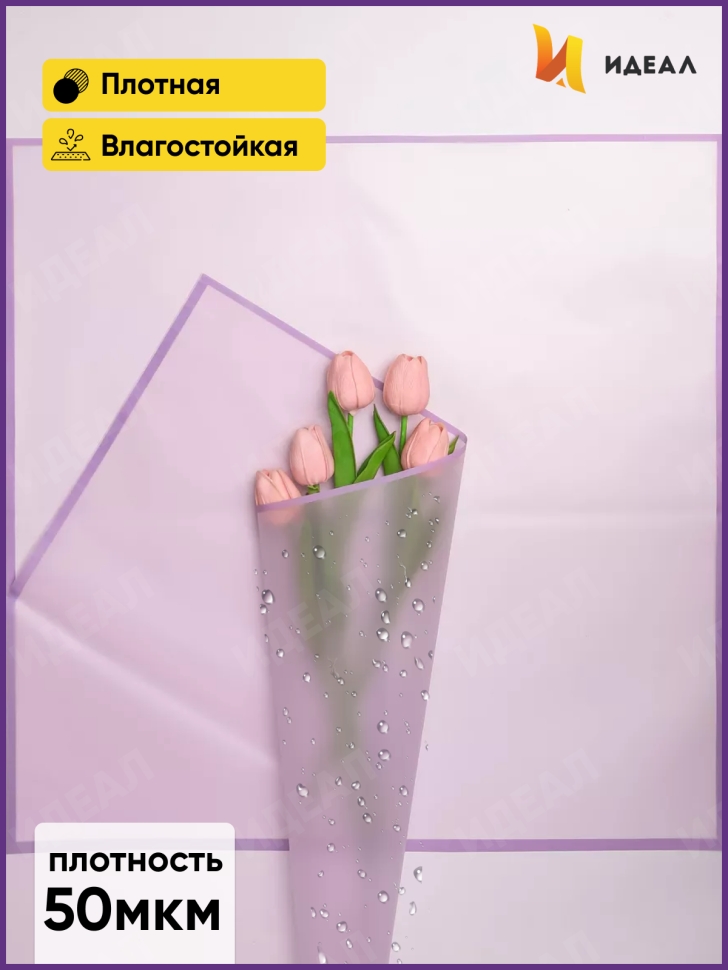 Пленка матовая 58смх58см 10 листов 50мкм РЦ фрост с каймой сиреневый Пленка матовая 58смх58см 10 листов 50мкм РЦ фрост с каймой сиреневый