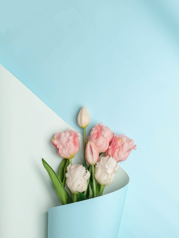 Пленка матовая 65мкм 58см х 10м двухцветная небесный/фисташковая пастель