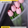 Пленка матовая 50мкм 58см х 10м РЦ прозрачный кант черный Пленка матовая 50мкм 58см х 10м РЦ прозрачный кант черный