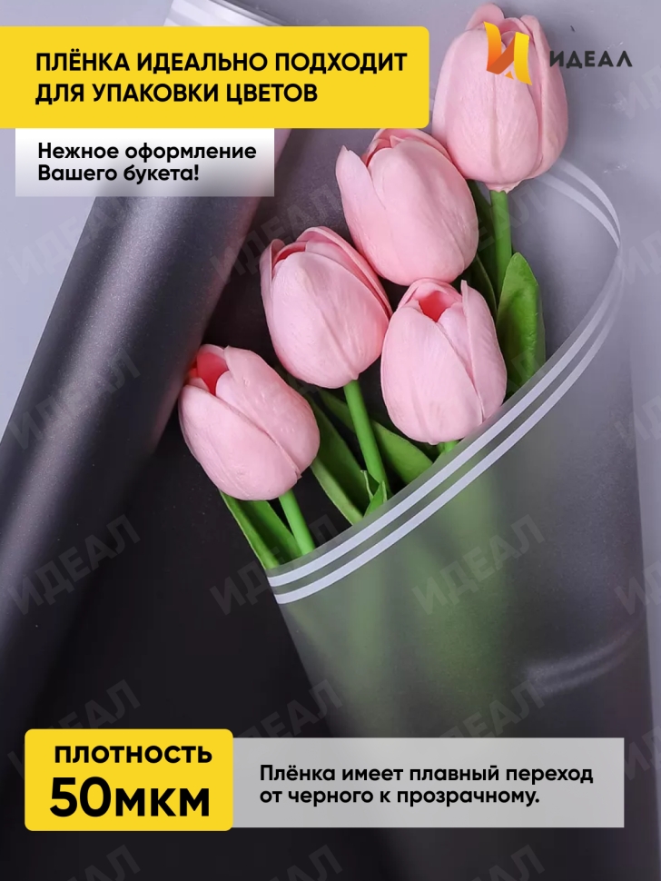Пленка матовая 50мкм 58см х 10м РЦ прозрачный кант черный Пленка матовая 50мкм 58см х 10м РЦ прозрачный кант черный
