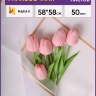 Пленка матовая 58смх58см 10 листов 50мкм РЦ кант 50 белый Пленка матовая 58смх58см 10 листов 50мкм РЦ кант 50 белый