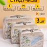 Коробка чемодан набор из 3шт 30x21x9,5см цветы/перо