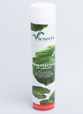 Спрей Блеск Victoria 750мл 9132 Спрей Блеск Victoria 750мл 9132