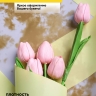 Пленка матовая 55мкм 58см х 10м РЦ Blot желтый Пленка матовая 55мкм 58см х 10м РЦ Blot желтый