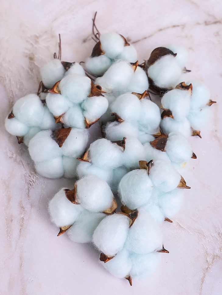 ИЦ Хлопковые коробочки 15шт 5см голубой ИЦ Хлопковые коробочки 15шт 5см голубой