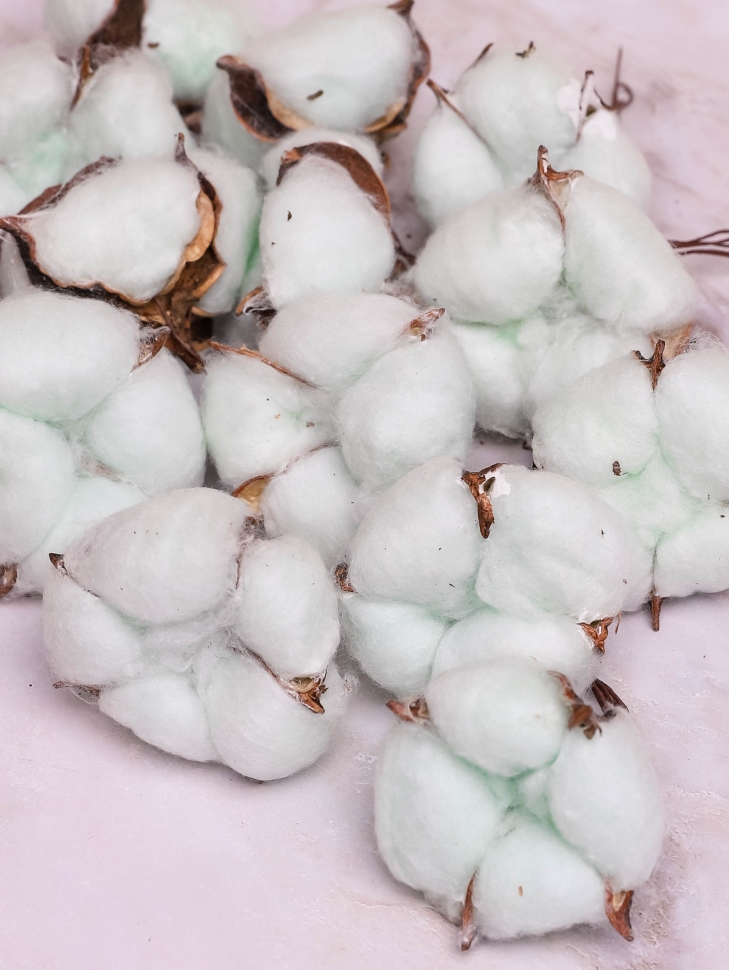 ИЦ Хлопковые коробочки 15шт 5см голубой ИЦ Хлопковые коробочки 15шт 5см голубой