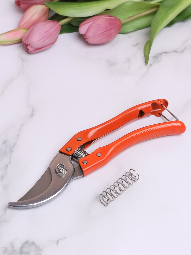 Секатор Victoria 21см 9174