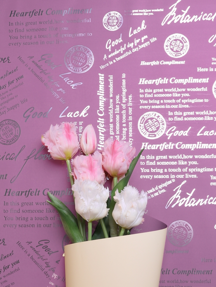 Пленка матовая 60мкм 58см х 10м 2-х сторонняя Compliment фиалка/кремовый