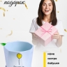 Кашпо керамика 14х14х13см WZ006 голубой