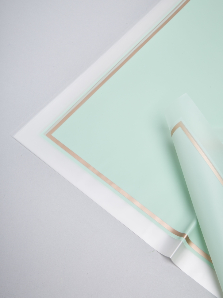 Пленка матовая 58смх58см 10 листов 50мкм кант 50 зеленый пастель