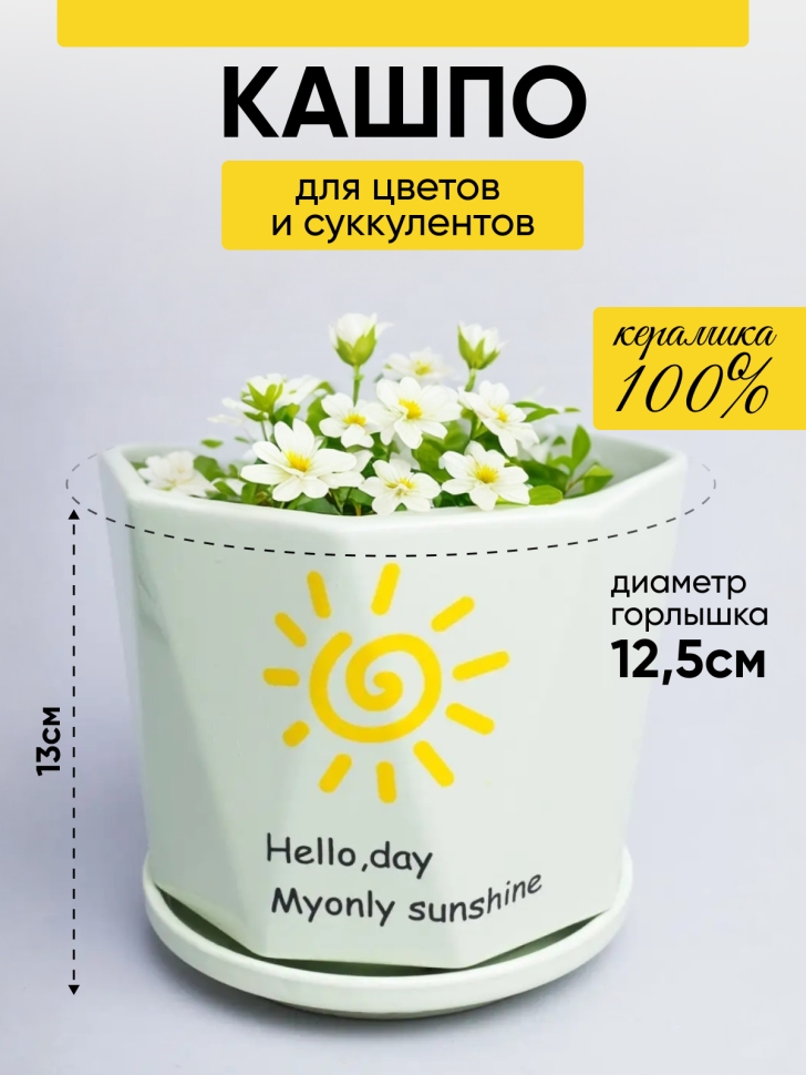 Кашпо керамика 14х14х13см WZ006 мятный
