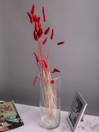 Лагурус цветной 30 голов 2104142 красный