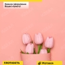 Пленка матовая 65мкм 50см х 10м Пралине коралловый Пленка матовая 65мкм 50см х 10м Пралине коралловый