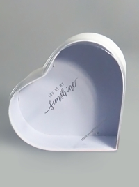 Коробка Сердце 25,2x23x10см с прозрачной крышкой, белая