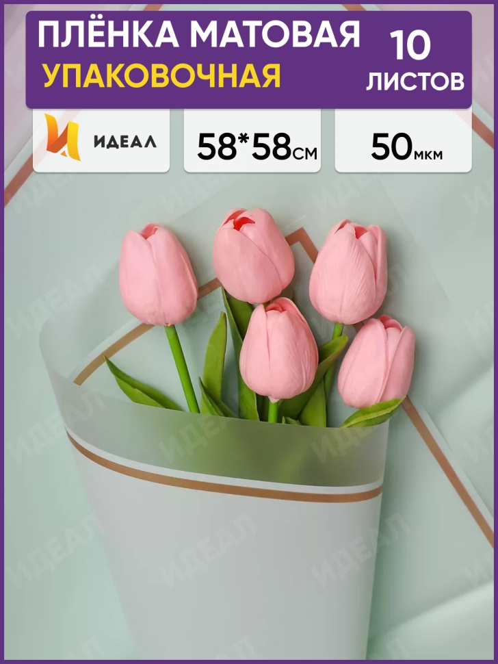 Пленка матовая 58смх58см 10 листов 50мкм РЦ кант 50 зеленый пастель Пленка матовая 58смх58см 10 листов 50мкм РЦ кант 50 зеленый пастель