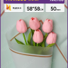 Пленка матовая 58смх58см 10 листов 50мкм РЦ кант 50 зеленый пастель