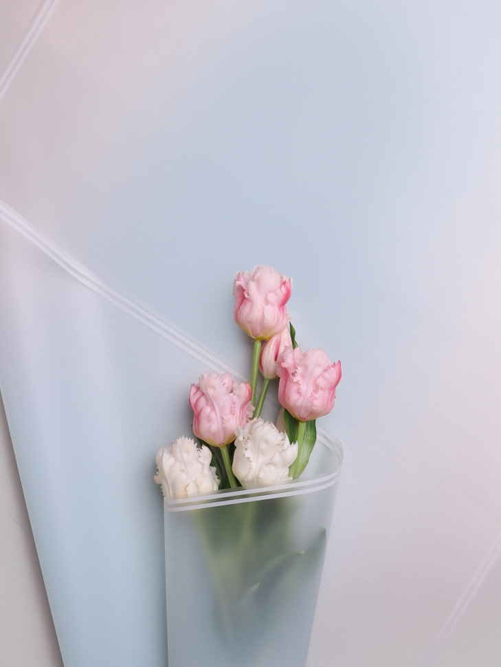 Пленка матовая 50мкм 58см х 10м прозрачный кант голубой Пленка матовая 50мкм 58см х 10м прозрачный кант голубой