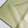 Пленка матовая 58смх58см 10 листов 50мкм РЦ фрост с каймой оливковый