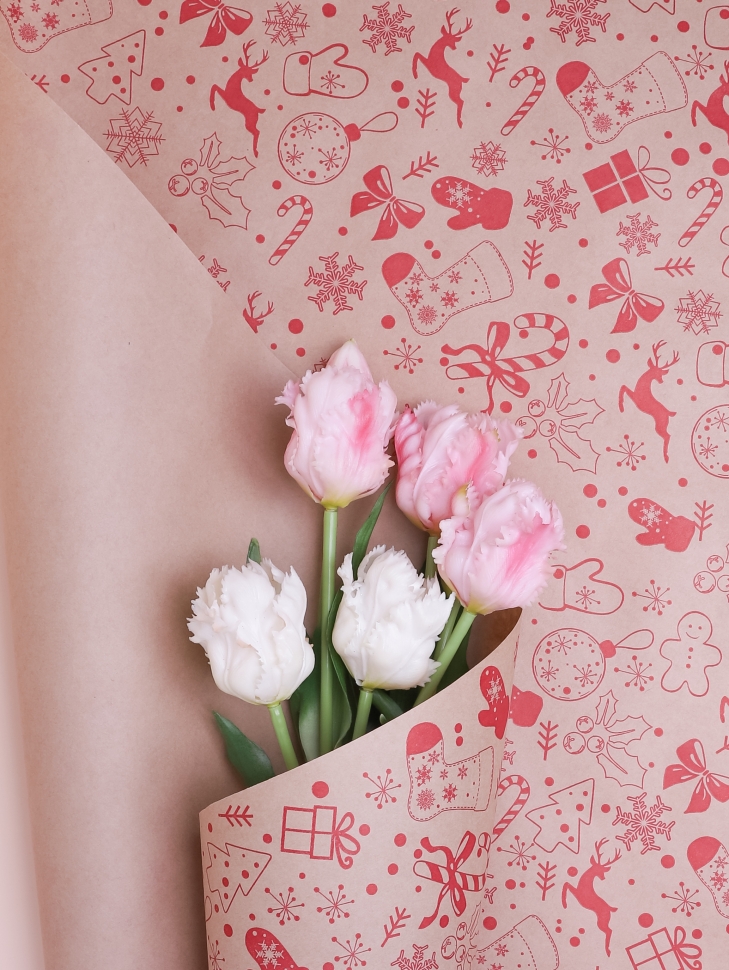 Бумага крафт 70г/м2, 70см x 10м, Рождество, ягодный пунш Бумага крафт 70г/м2, 70см x 10м, Рождество, ягодный пунш