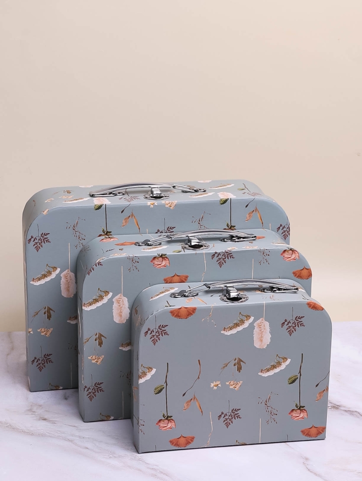 Коробка чемодан набор из 3шт 30,2x21,9x9,5см цветы 613 ботаника серый Коробка чемодан набор из 3шт 30,2x21,9x9,5см цветы 613 ботаника серый