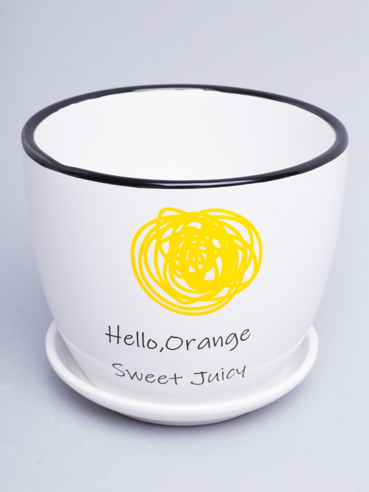 Кашпо керамика 14х14х13см Hello, Orange Кашпо керамика 14х14х13см Hello, Orange
