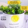 Кашпо керамика 14х14х13см Hello, Orange Кашпо керамика 14х14х13см Hello, Orange