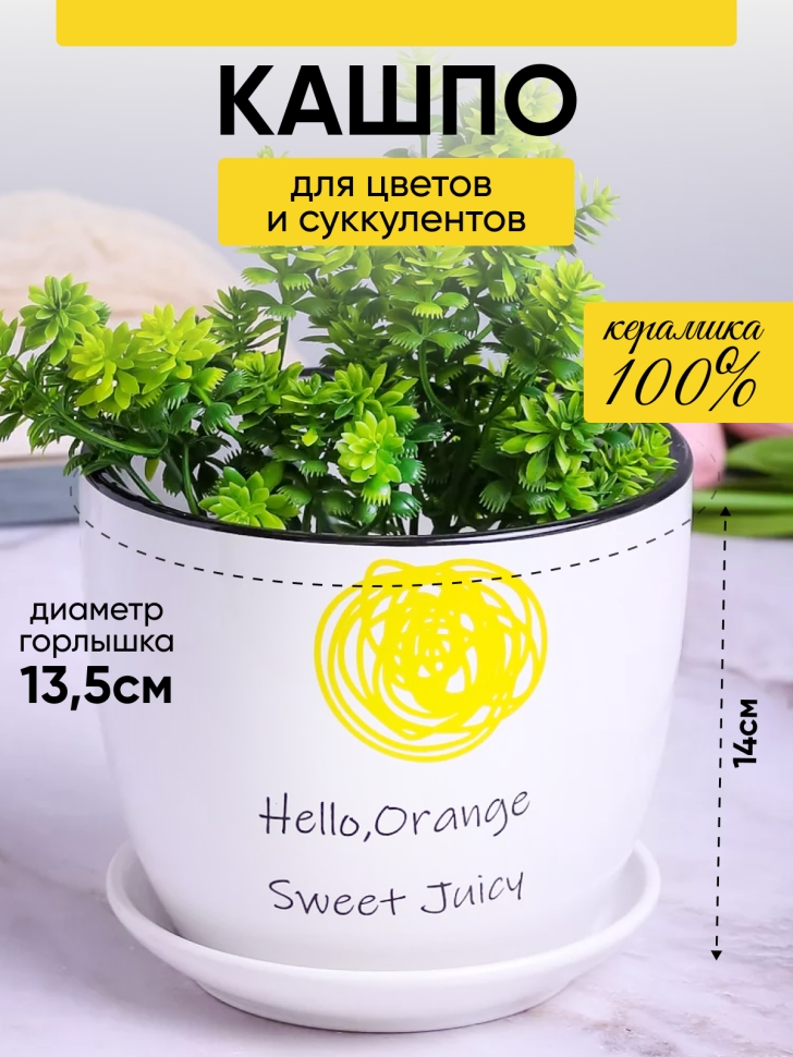 Кашпо керамика 14х14х13см Hello, Orange Кашпо керамика 14х14х13см Hello, Orange
