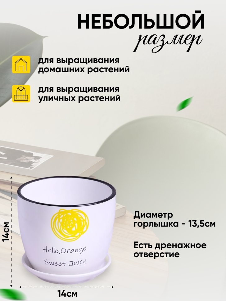 Кашпо керамика 14х14х13см Hello, Orange Кашпо керамика 14х14х13см Hello, Orange