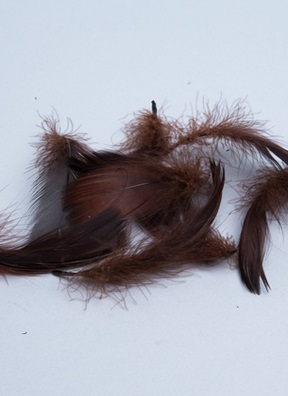 Перья цветные 9см 12гр, П шоколадный Перья цветные 9см 12гр, П шоколадный