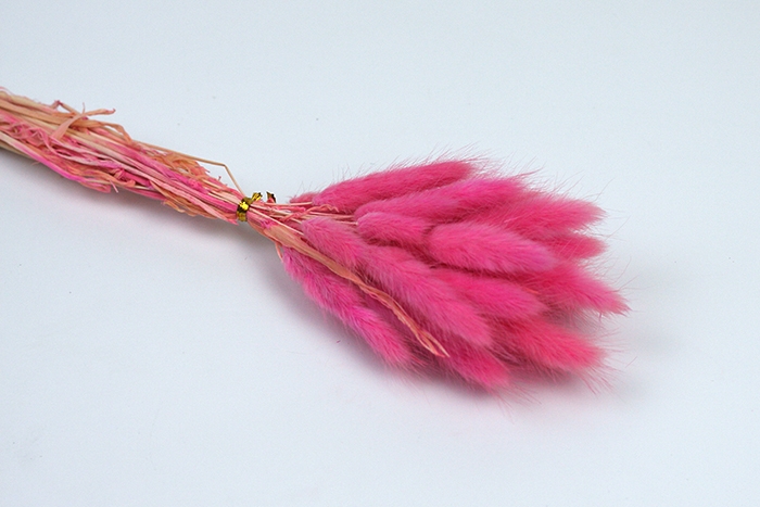 Лагурус цветной 30 голов 2104147 фуксия