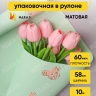 Пленка матовая  60мкм 58см х 10м РЦ Минни Маус золотой на мятном