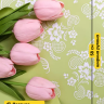Пленка матовая  65мкм 58см х 10м РЦ Ажурные цветы салатовый