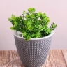 Кашпо из пластика "Ротанг" 3л. h16.5см,d19 серый жемчуг Кашпо из пластика "Ротанг" 3л. h16.5см,d19 серый жемчуг