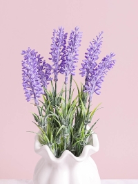 ИЦ Лаванда 35см 253