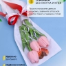 Пакет цветочный Рукав 14х40 на 1цветок Love you белый 10 шт Пакет цветочный Рукав 14х40 на 1цветок Love you белый 10 шт