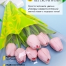 Пакет цветочный Конус 30/40 Милана цветной рисунок салатовый/желтый 50 шт Пакет цветочный Конус 30/40 Милана цветной рисунок салатовый/желтый 50 шт