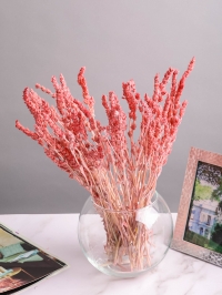 Железница стабилизированная 35см 30гр розовый