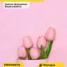 Пленка матовая 65мкм 50см х 10м Пралине розовый