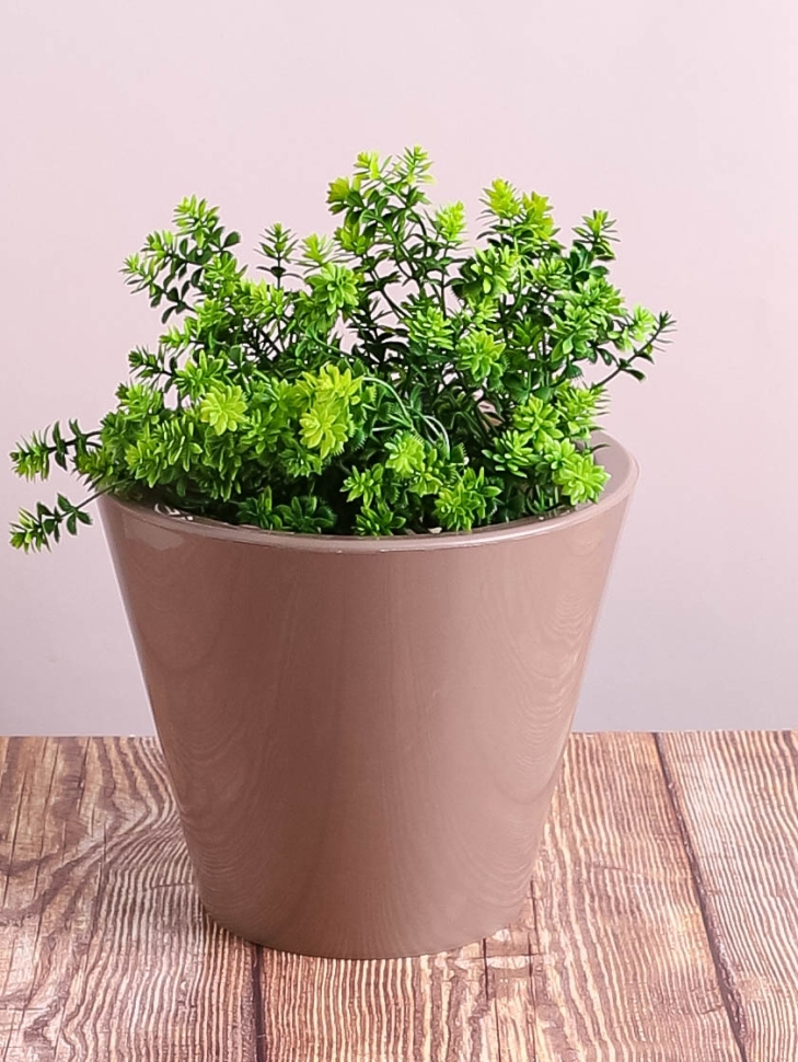 Кашпо из пластика "Классика" 5л. h19.5см,d23 фраппе Кашпо из пластика "Классика" 5л. h19.5см,d23 фраппе