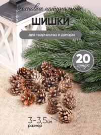 Шишки сосновые север, 3см 20шт. мини натуральные