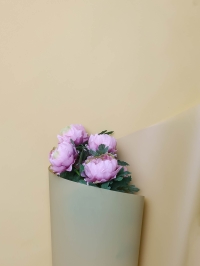 Пленка матовая 55мкм 58см х 10м Romantic пшеничный