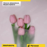 Пленка матовая 70см x 10м