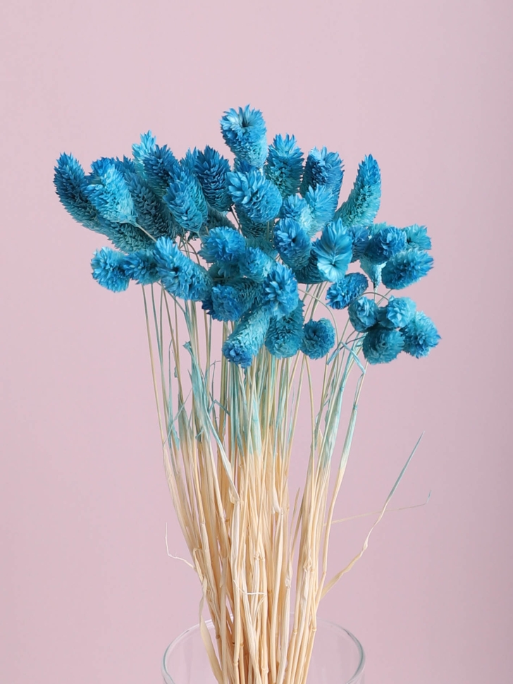 ИЦ Фаларис 50шт голубой