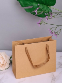 Пакет крафт 22х18х8см К