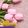 Бумага крафт 70г/м2, 70см x 10м, Пожелания белый Бумага крафт 70г/м2, 70см x 10м, Пожелания белый